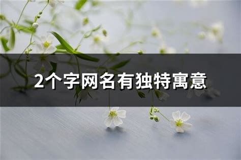 二字名字|2个字网名有独特寓意 (精选509个)